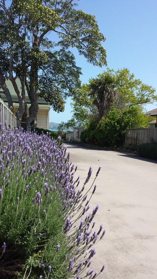 Abbey Court Motel Coromandel Luaran gambar