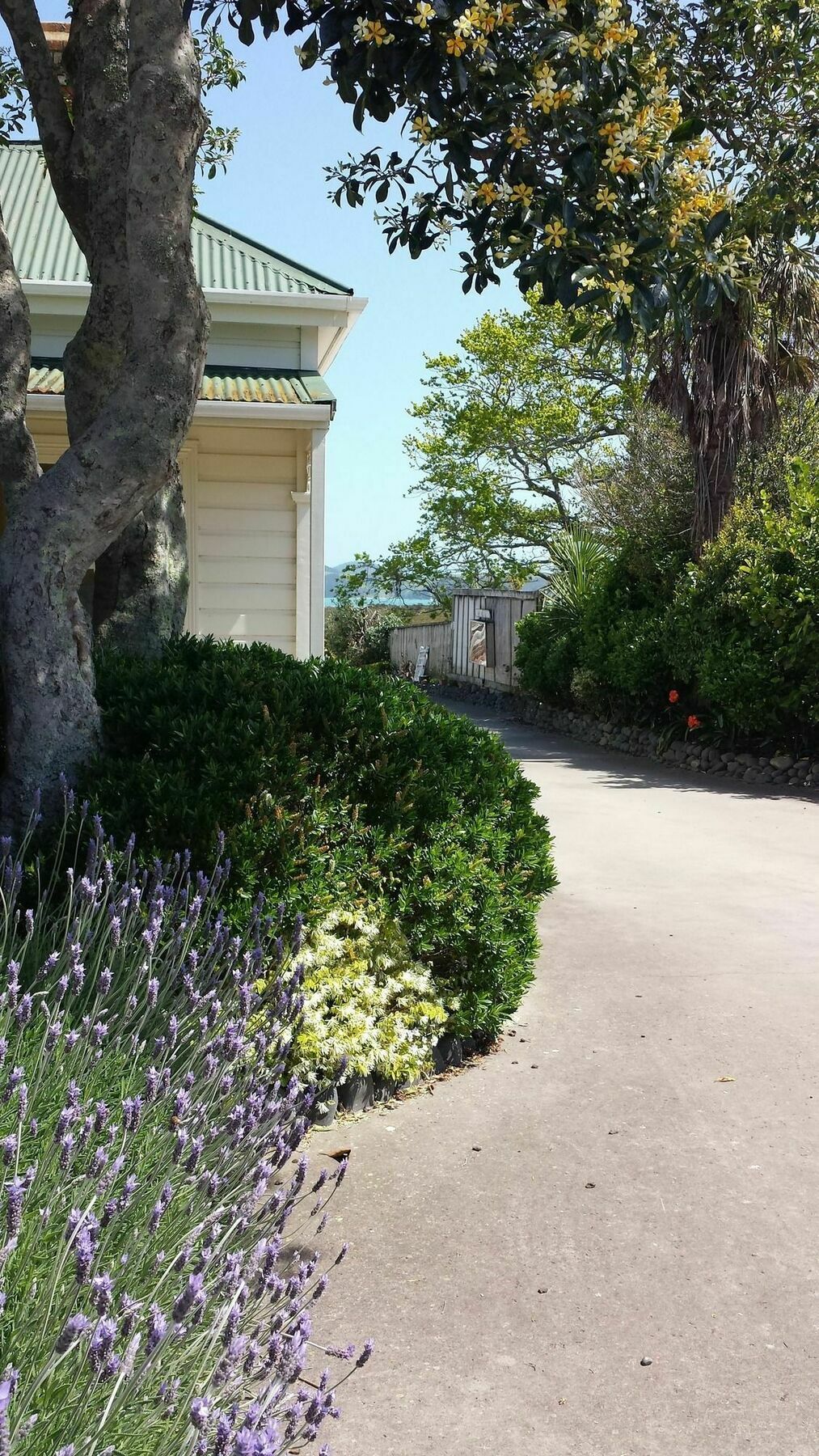 Abbey Court Motel Coromandel Luaran gambar